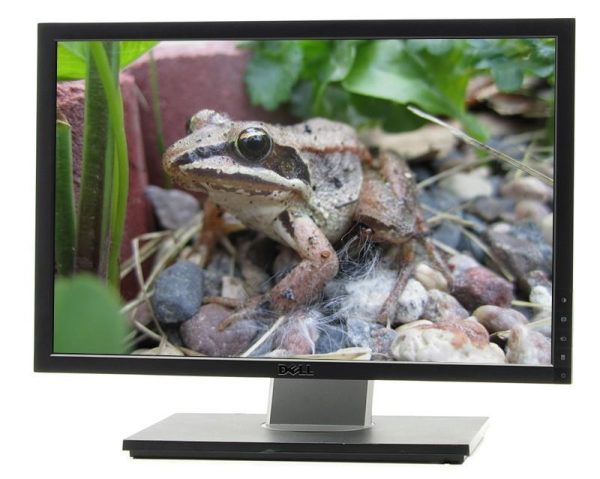 Dell 1909WB is a 19-inch widescreen LCD monitor