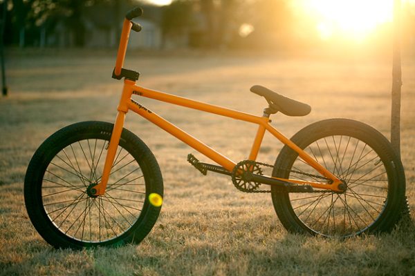 BMX - Image 3