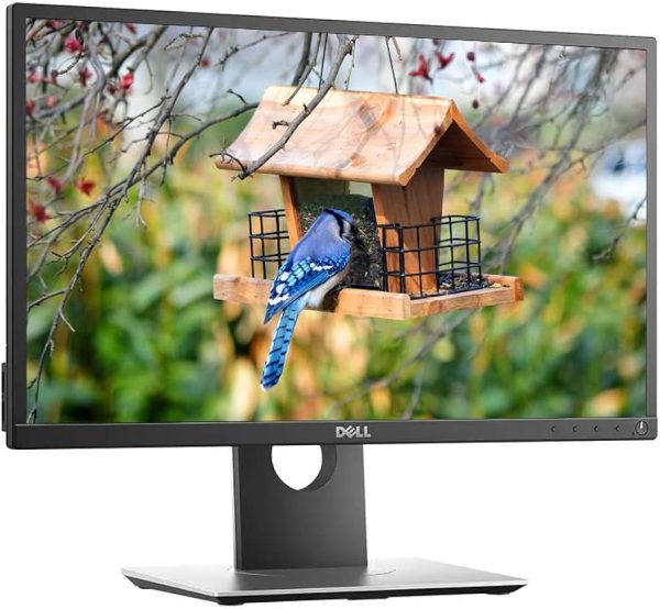 Dell P2017H Anti-glare screen 19.5 inches